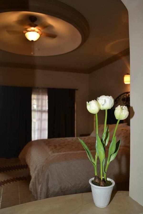 Maria Bonita Suites Агуа-Приета Экстерьер фото